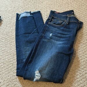 7 for all mankind the ankle skinny
